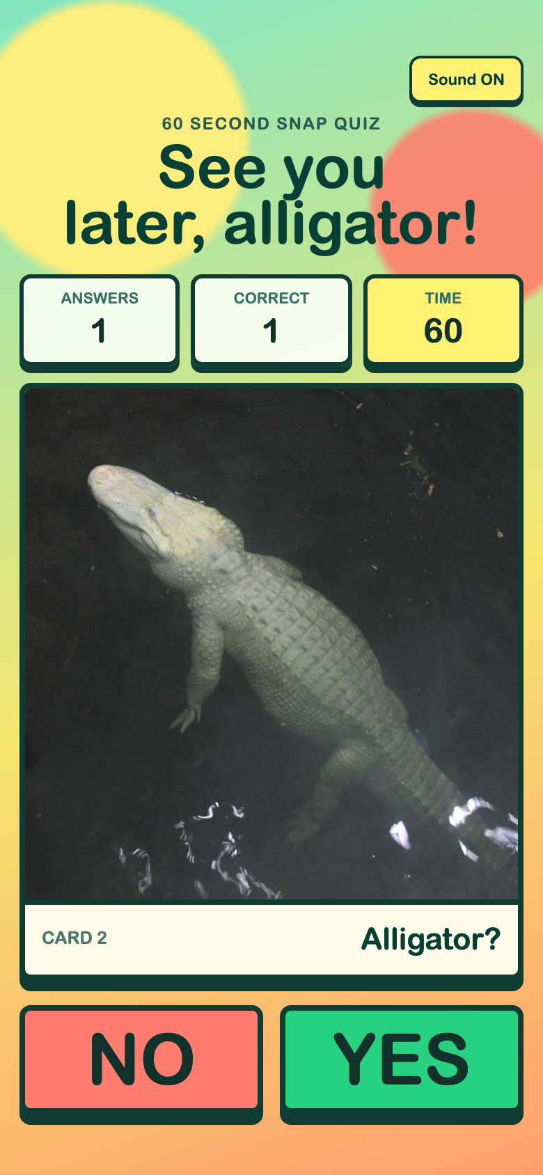 動物カードを見てアリゲーターかどうかをYES/NOで答える、See you later, alligator! のゲーム画面